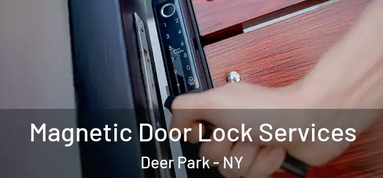 Magnetic Door Lock Services Deer Park - NY